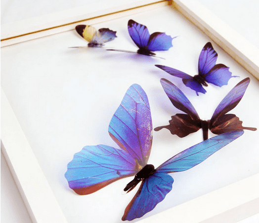 blue butterfly Sticker For Wall Decor