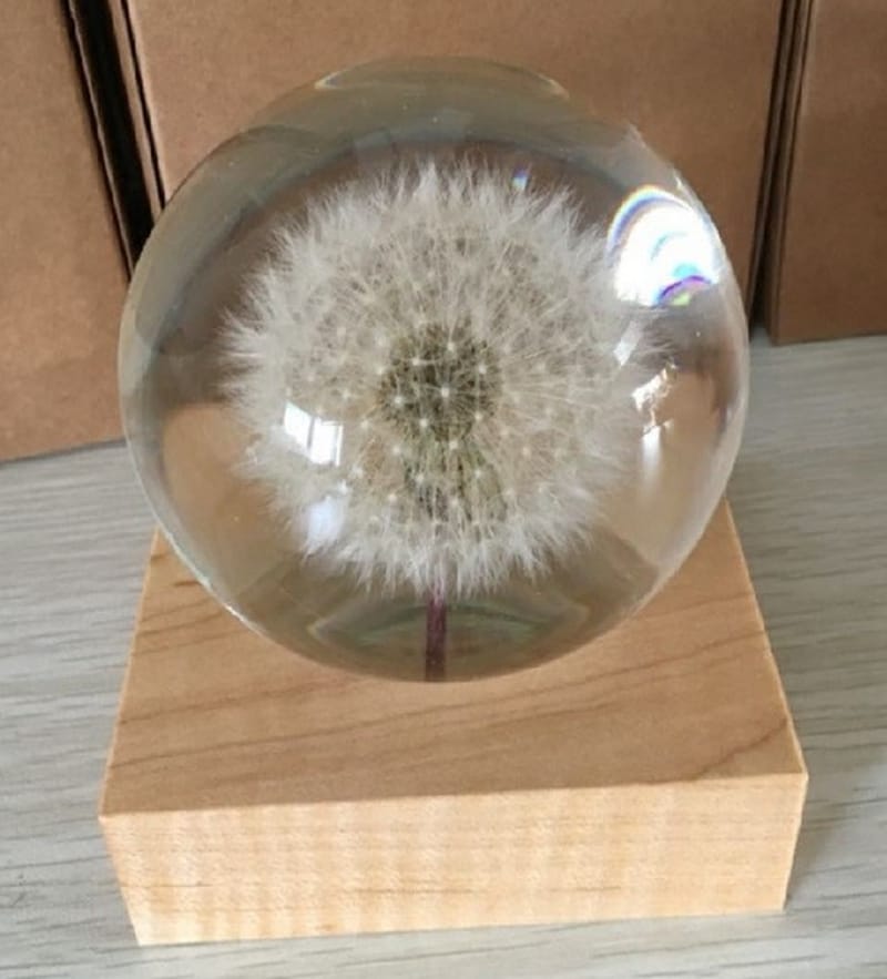 dandelion globe.JPG